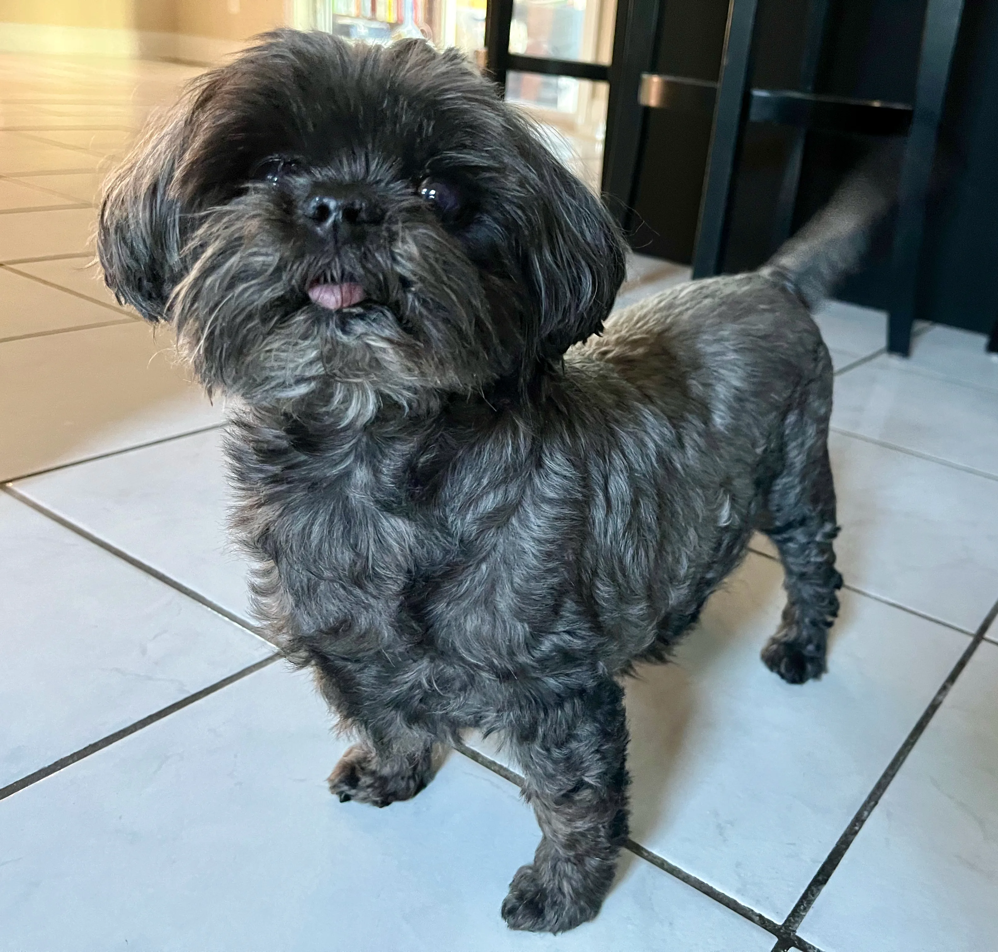 A pet in Rose's care