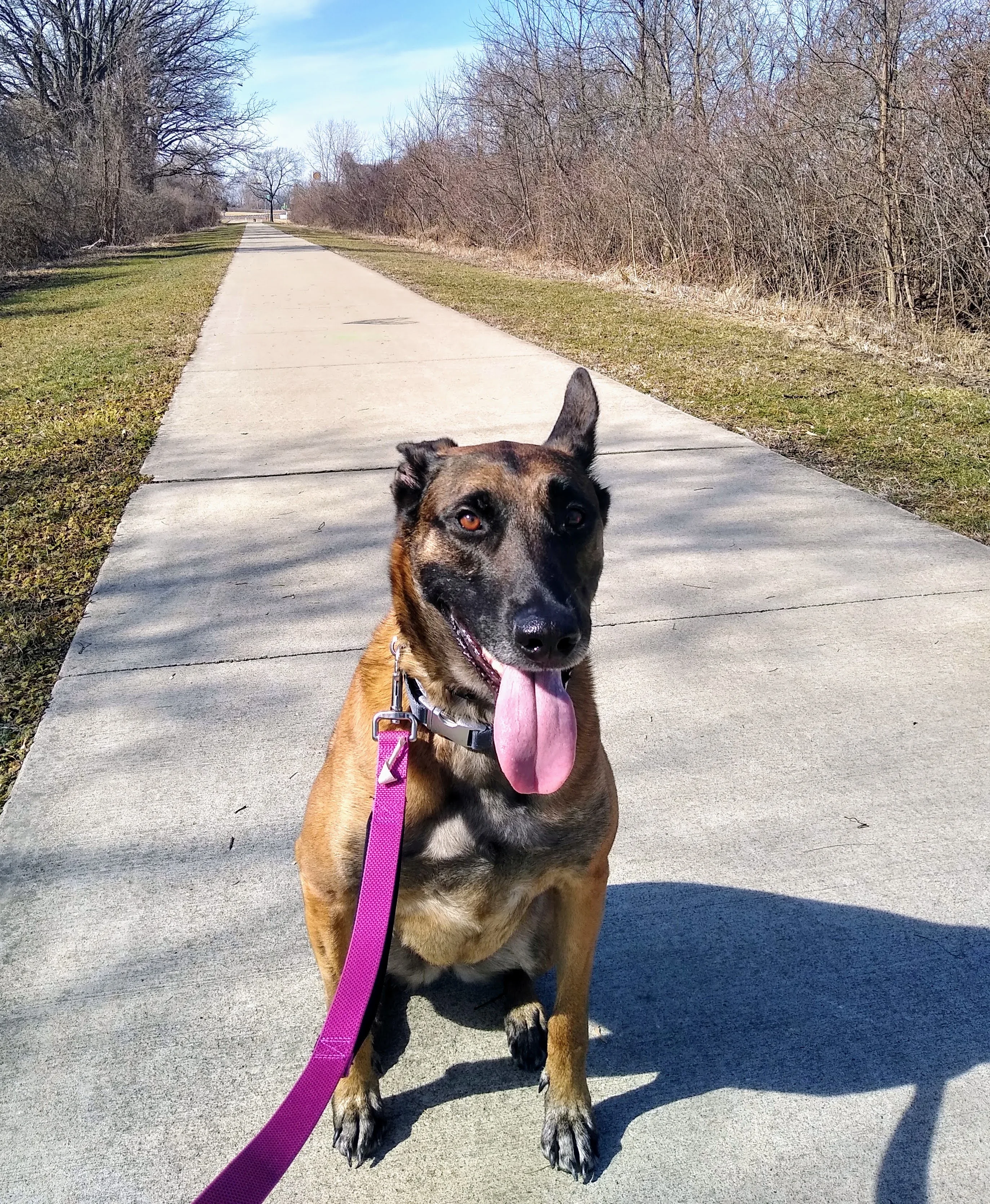 A pet in Rose's care